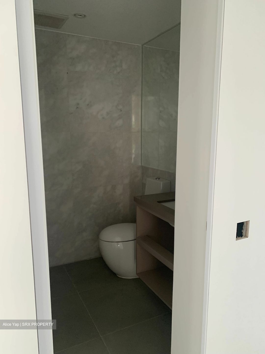 Sky@Eleven (D11), Condominium #357394911
